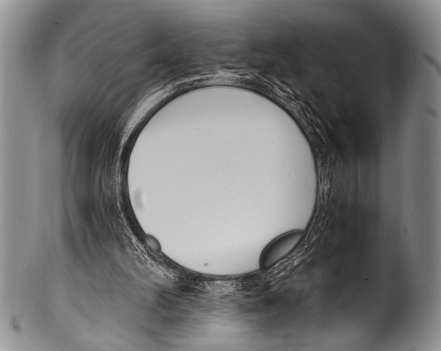 X0000100320102200806261236