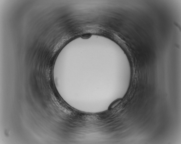 X0000100320106200806261236