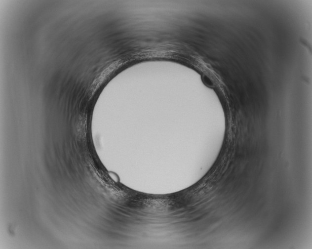 X0000100320107200806261236