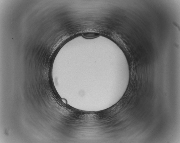 X0000100320108200806261236