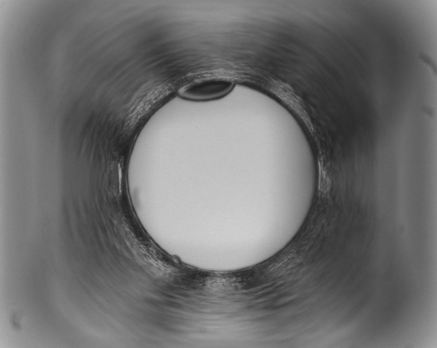 X0000100320109200806261236