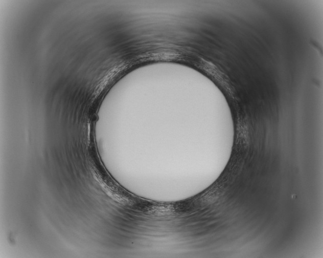 X0000100320110200806261236