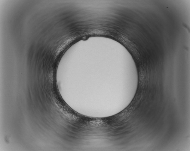 X0000100320112200806261236