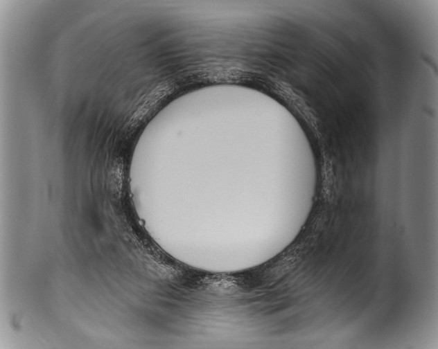 X0000100320113200806261236