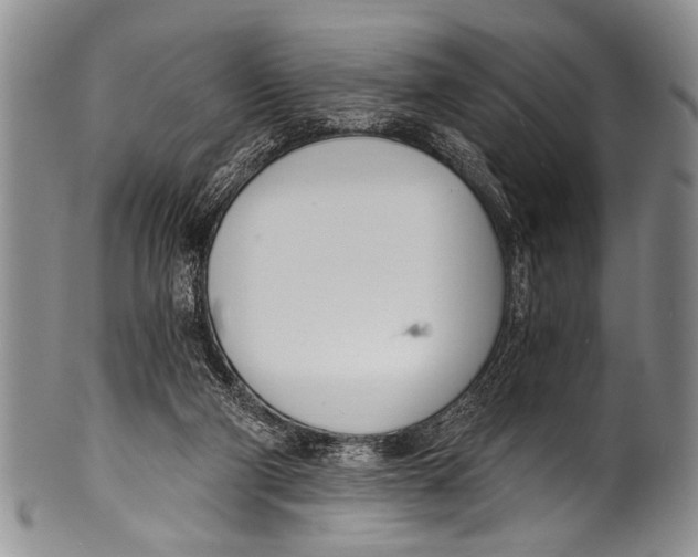 X0000100320114200806261236