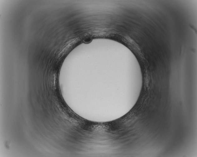 X0000100320115200806261236