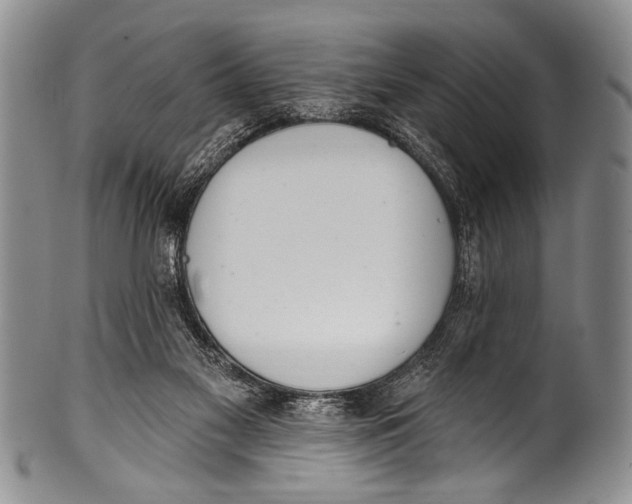 X0000100320117200806261236