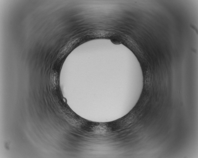 X0000100320119200806261236