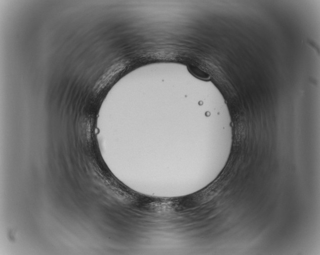 X0000100320120200806261236