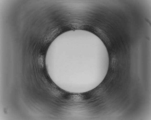 X0000100320121200806261236