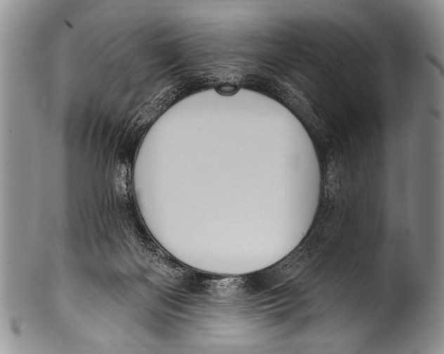 X0000100320122200806261236