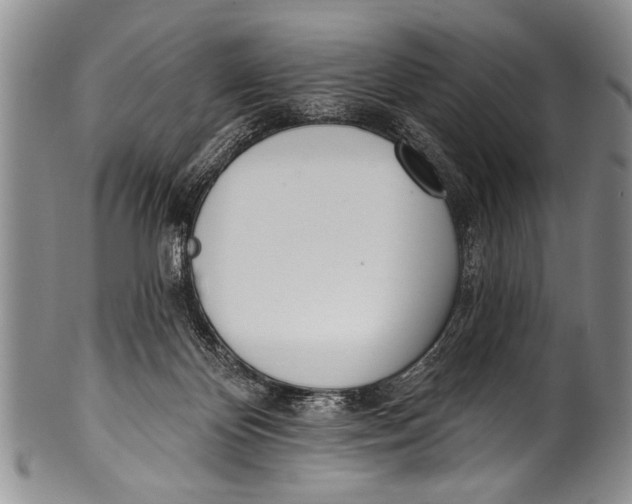 X0000100320124200806261236