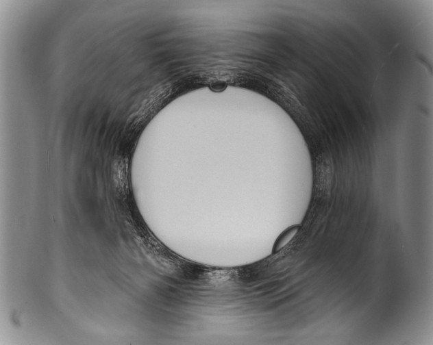 X0000100320126200806261236