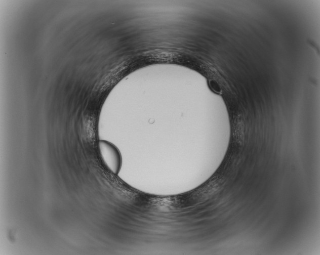 X0000100320131200806261236