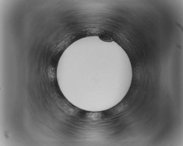 X0000100320135200806261235