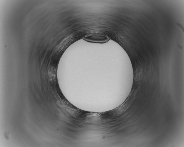 X0000100320140200806261235