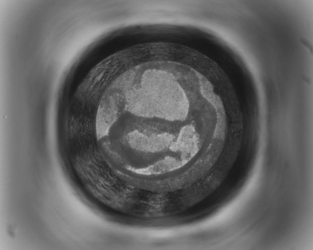 X0000100320143200806261235