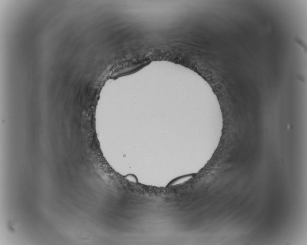 X0000100320144200806261235