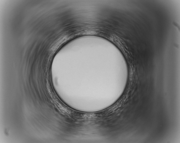 X0000100320145200806261234