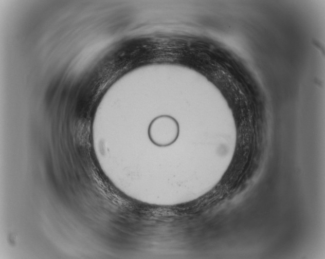 X0000100320146200806261235