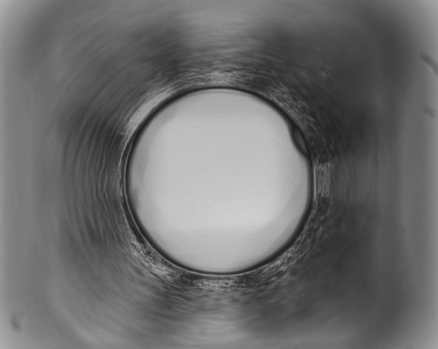 X0000100320147200806261235