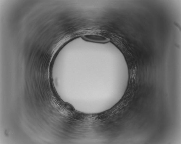 X0000100320148200806261235