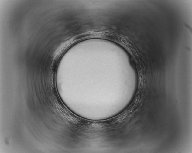 X0000100320149200806261235