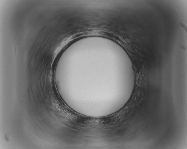 X0000100320152200806261235