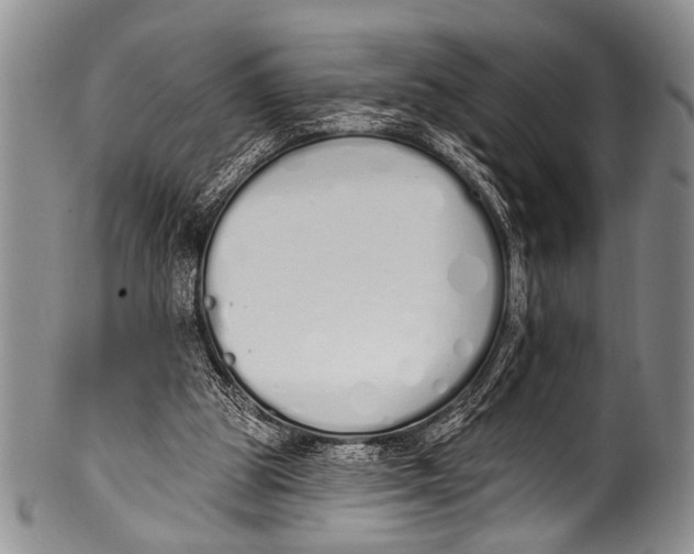 X0000100320153200806261235