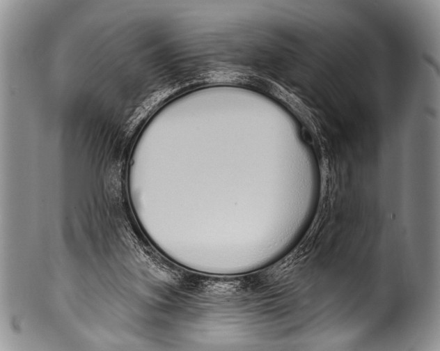 X0000100320155200806261235