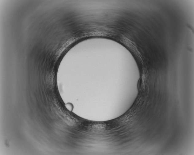 X0000100320156200806261235