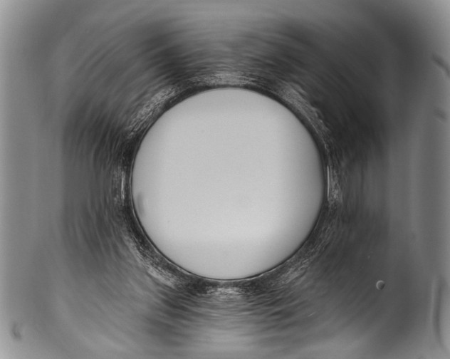 X0000100320157200806261235