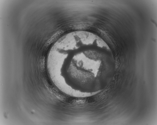 X0000100320163200806261235