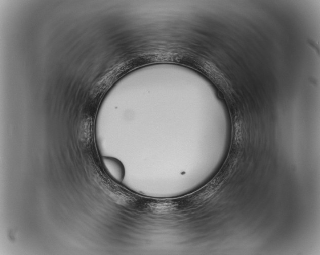 X0000100320165200806261235