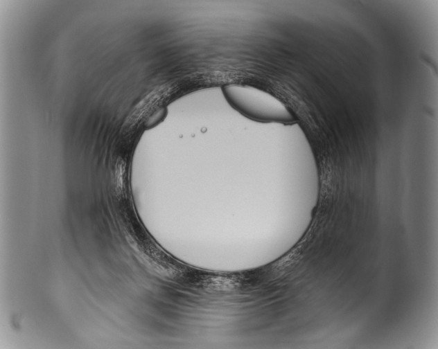 X0000100320166200806261235