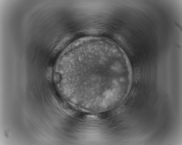 X0000100320167200806261235