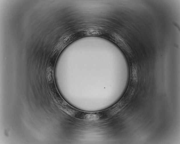 X0000100320169200806261235