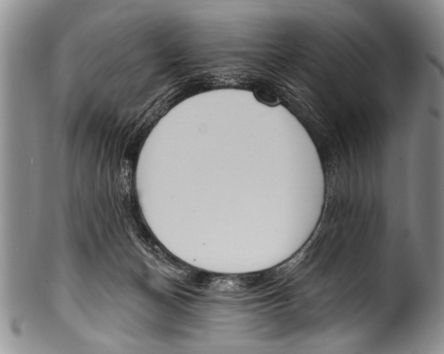 X0000100320174200806261235