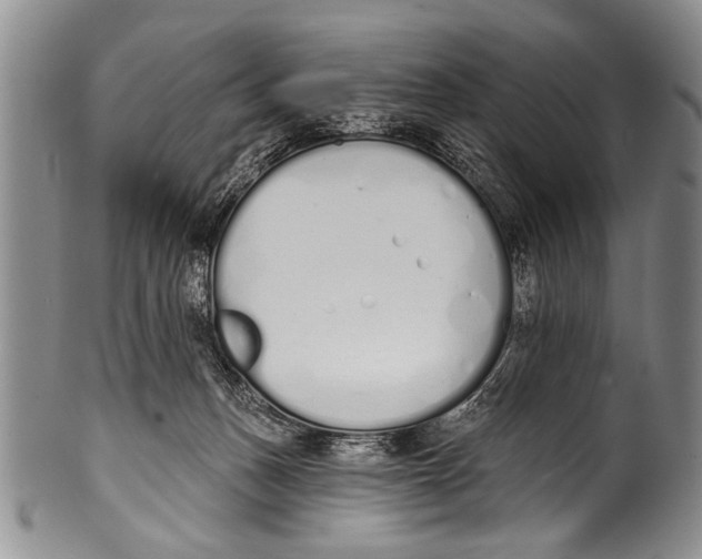 X0000100320175200806261235