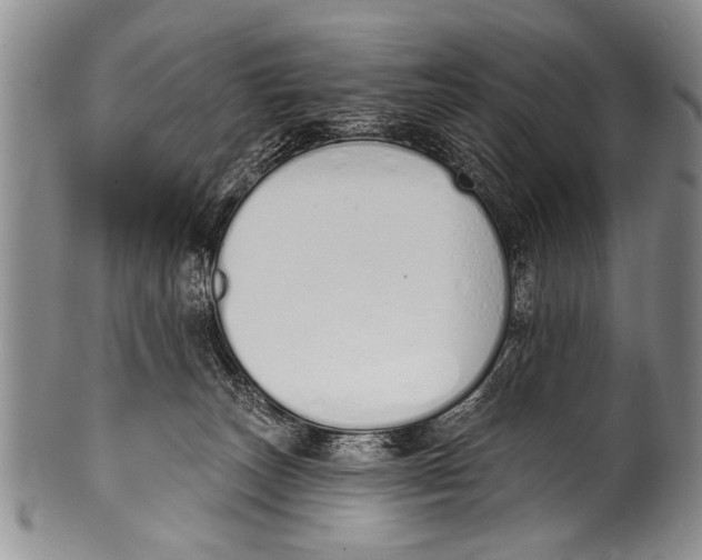 X0000100320179200806261235