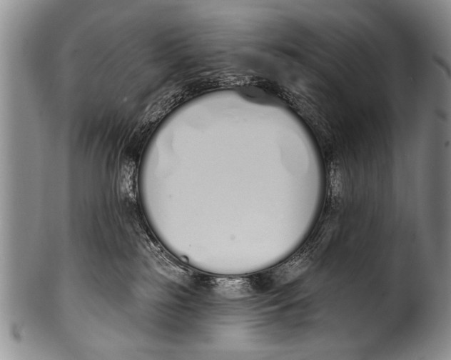 X0000100320185200806261235