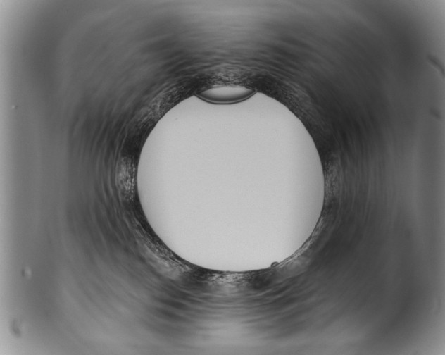 X0000100320186200806261235