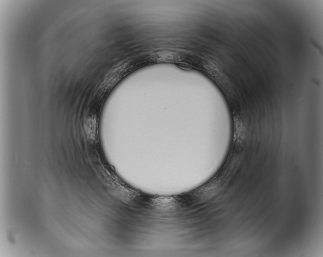 X0000100320189200806261235