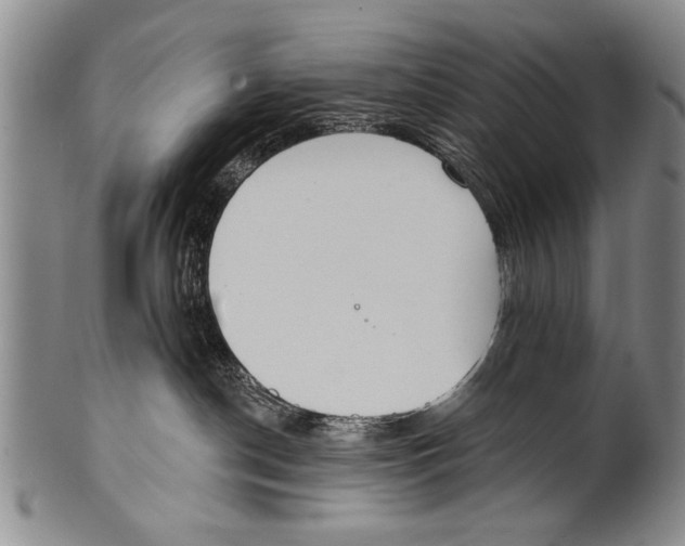 X0000100320190200806261235