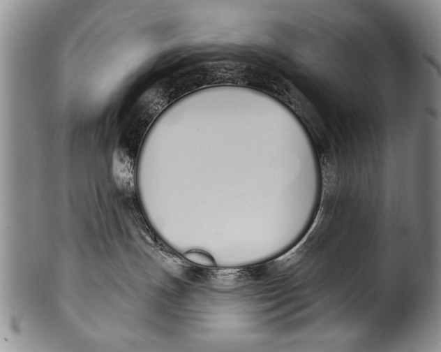 X0000100320191200806261235