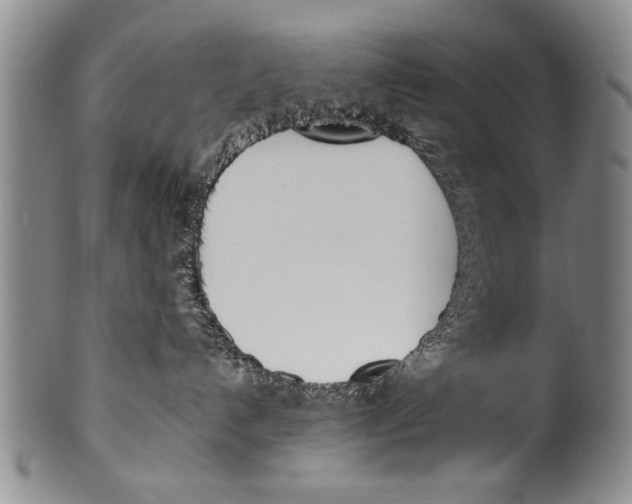 X0000100320192200806261235