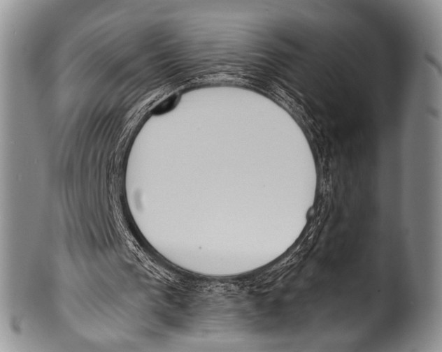 X0000100320193200806261234