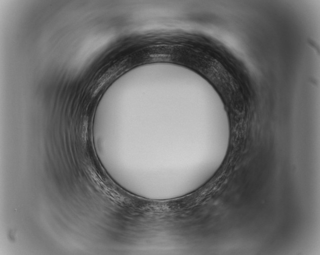 X0000100320194200806261234