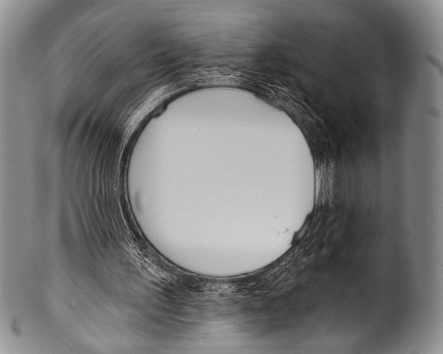 X0000100320195200806261234