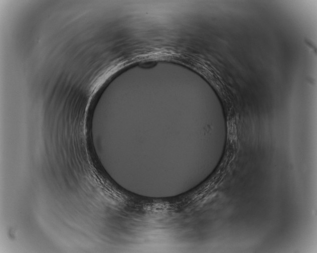 X0000100320196200806261234